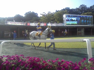 Baekgwang, Park Tae Jong up, parades