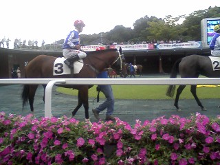 Richard Fourie was the only ROTW rider to place