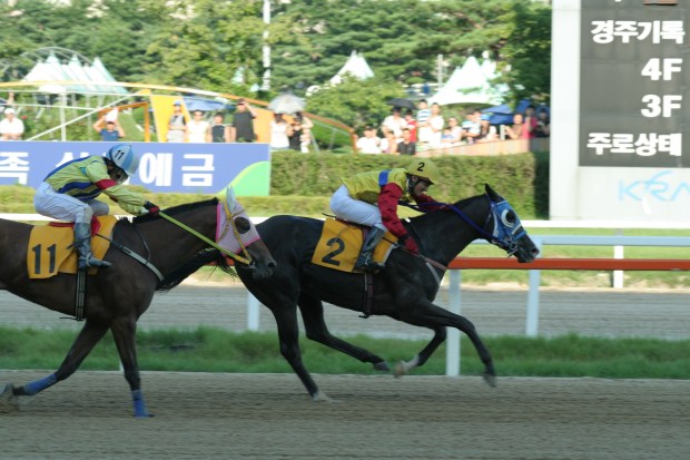 Moon Se Young (leading) will be out for 6 months