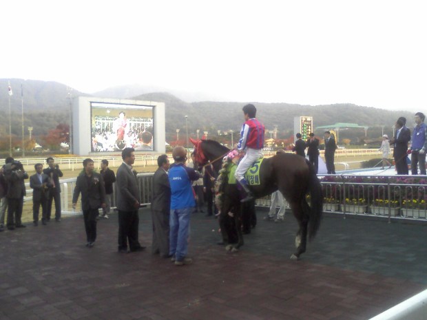 Aurora Takes 2 y/o filly title