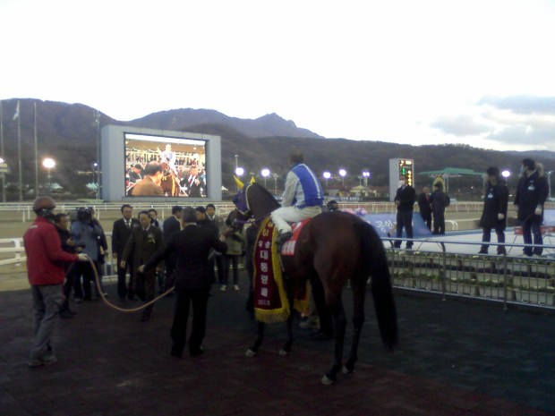 Nice Choice Cho Kyoung Ho