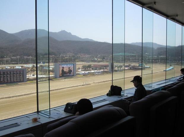 View from the lounge