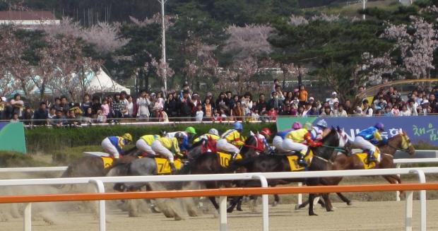 Springtime - hopefully we'll have some sunshine this weekend. Wouldn't bet on it though