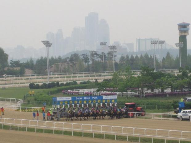 They'll need two more spaces for Stakes races