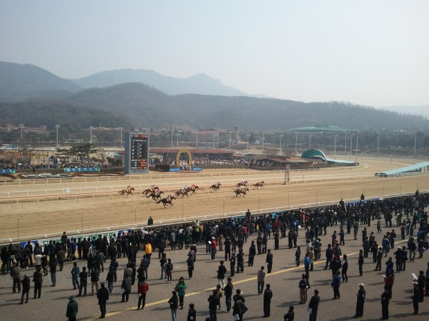 Haze: Seoul has been hit by dust storms this week, but at least it is getting warmer