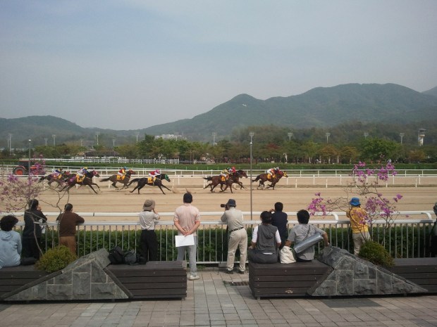 The weather has been beautiful this week and should remain so over the weekend for the Champion Juvenile races