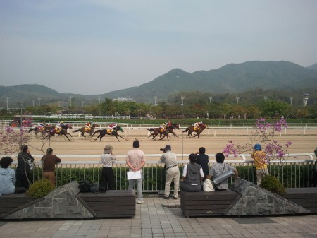 The weather has been beautiful this week and should remain so over the weekend for the Champion Juvenile races