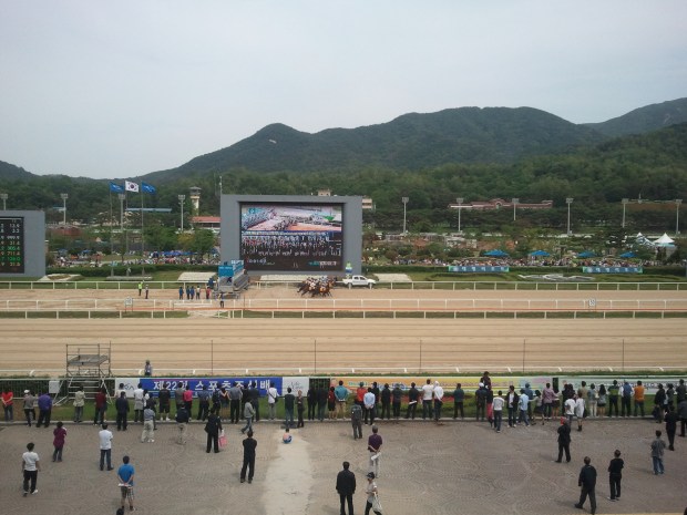Seoul Racecourse May 22 2011
