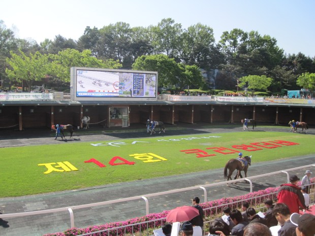 Seoul Paddock Derby Day