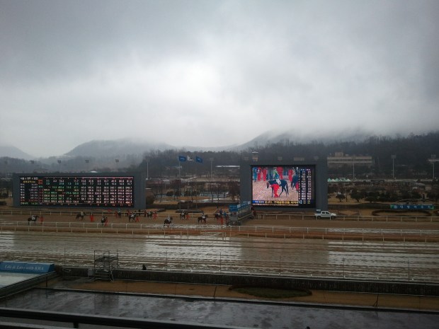 It's not going to rain this much but there's a 70% chance of Saturday being wet