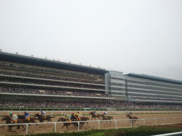 There will be 96 days of racing at Seoul in 2013