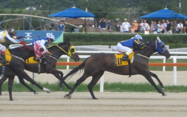 Daring Vision Seo Seung Woon