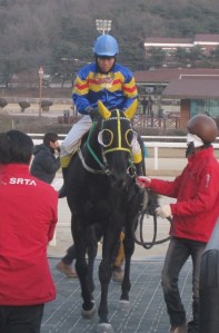 Ace Galloper won the KRA Cup Classic last year - he headlines Sunday's marathon card at Seoul