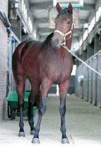 Smarty Moonhak (KRA)