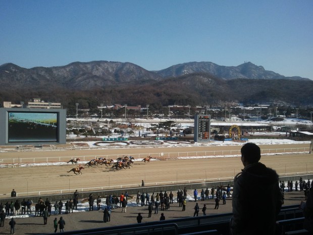 The punter can get back down to business this weekend at Seoul and Busan