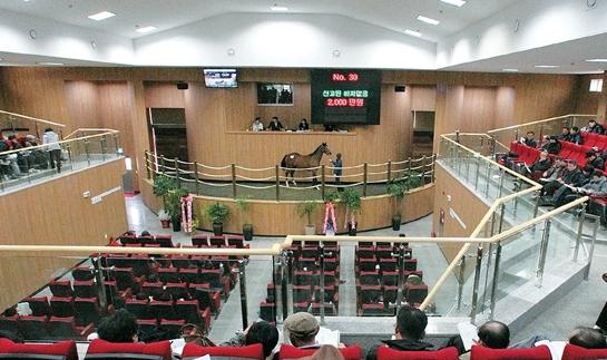 Foreign buyers were active at the Jeju Sales this Spring 