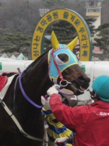 Going again: Smarty Moonhak