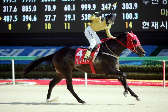 Gyeongbudaero, KRA Cup Mile winner in 2012 (KRA)