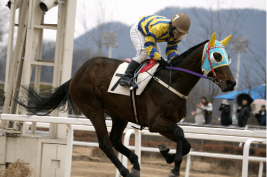 Back: Smarty Moonhak (Pic: KRA)