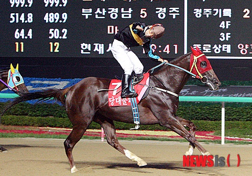 Jo Sung Gon reacts as Dangdae Bulpae crosses the finish line (Pic: Newsis)