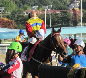 I'm Free! Moon Se Young is among 11 jockeys going freelance 