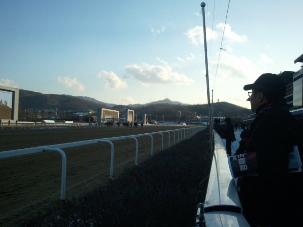 Winter time in Seoul: It's been cold this week but it's set for a warmer weekend