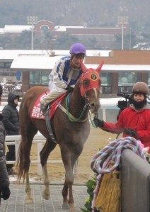 Global Fusion and Cho Kyong Ho return after winning the New Year Stakes