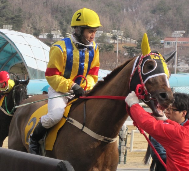 Feel So Good: 3 from 3, faces Jigeum I Sungan in the Owners' Trophy