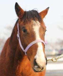 Gangnam Camp before his trip to the US (KRA)