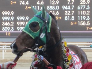 Kkakjaengi won this race 2 years ago and went on to win serious money later