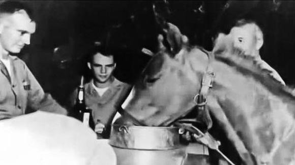 Reckless drinking with Marines