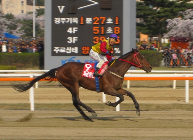 Jigeum I Sungan and Moon Se Young win the Owners' Cup