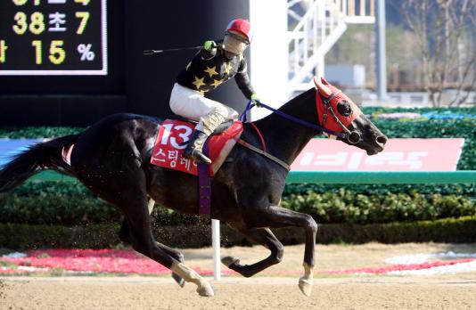 Sting Ray and Kim Dong Young win the KRA Cup Mile