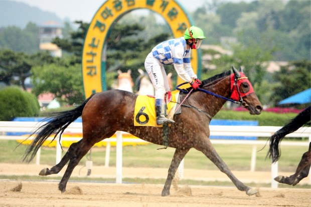 Charming Girl crosses the line at the end of her 96th defeat