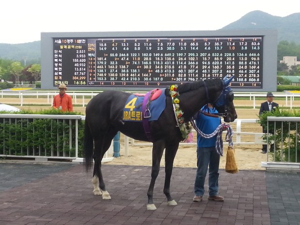 Remember Bulpae Waits in the JRA Trophy Winner's Circle