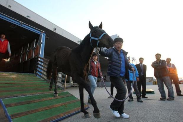 Journey Ends in Winner's Circle - K Pop on his way to export in 2011 (KRA)