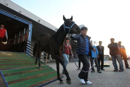 Journey Ends in Winner's Circle - K Pop on his way to export in 2011 (KRA)