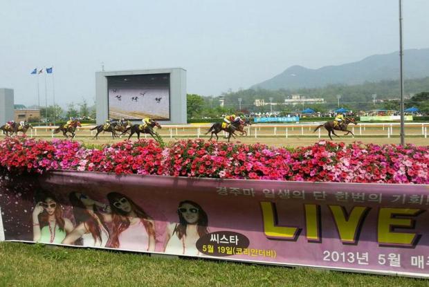 Even as Best Captain made it 3 from 3, lots of minds were on next week at Seoul today