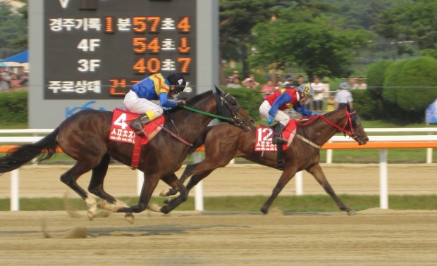 Gumanseok just hokds on as Royal Galloper closes fast