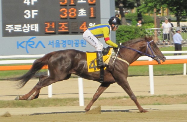 Real Victor and Ham Wan Sik win the Sports Hankuk Trophy at Seoul