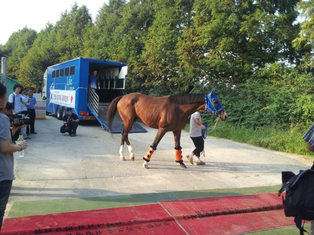 The SBS Korea-Japan Goodwill Cup is on Sunday September 1