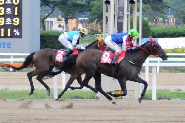 Fausto Durso wins the YTN Cup on Choichoro ahead of Noel Callow but the Australian came out on top overall (Pic: Ross Holburt)