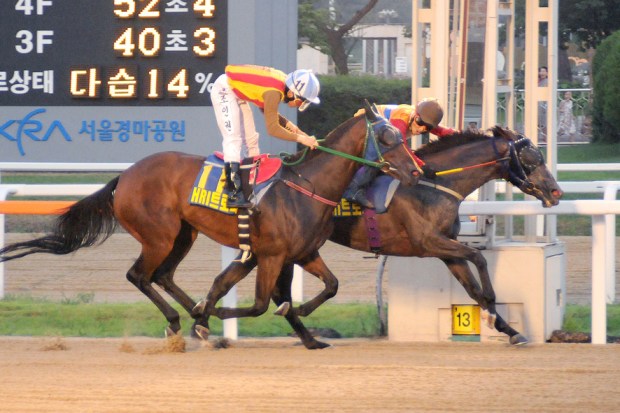 Eutteum Khan (far side) and Moon Se Young, win the HRI Trophy (Pic: Ross Holburt)