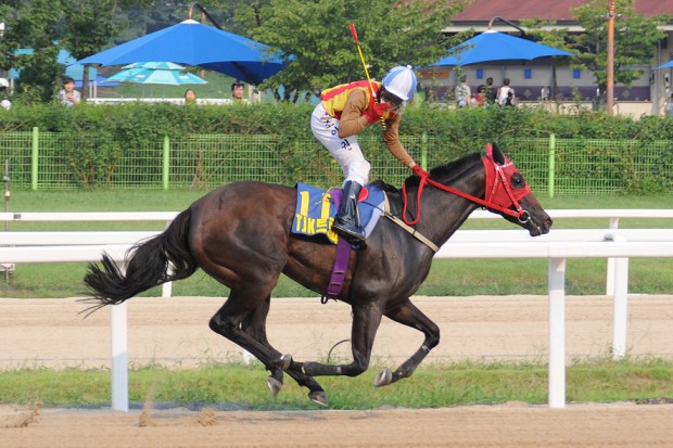 Full Moon Party and Jo In Kwen win the Turkey Jockey Club Cup