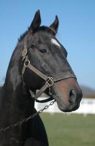 Concept Win: 1990-2013