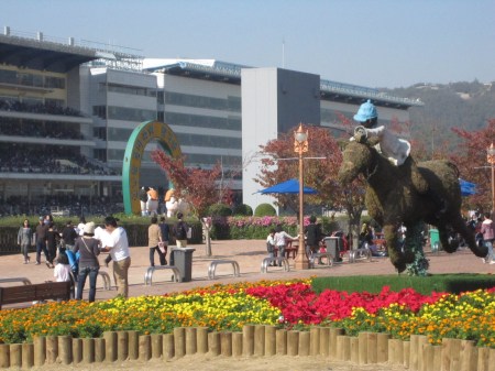 There was some late autumn sun at Seoul Racecourse this weekend last year - rain is forecast this 