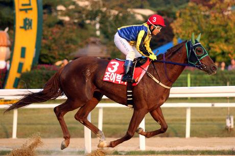 Joy Lucky makes her 2014 debut this weekend(Pic: KRA)