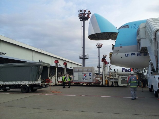The horses arrived by Korean Air last Thursday