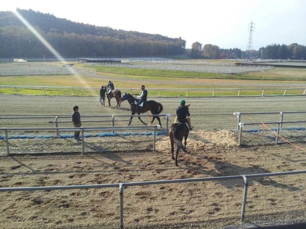 Into the light: Trackwork at Nasu (Pic: KRA)