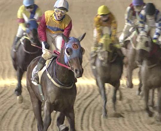 Moon Se Young is delighted with Smarty Moonhak in this screengrab from Seoul Racecourse today